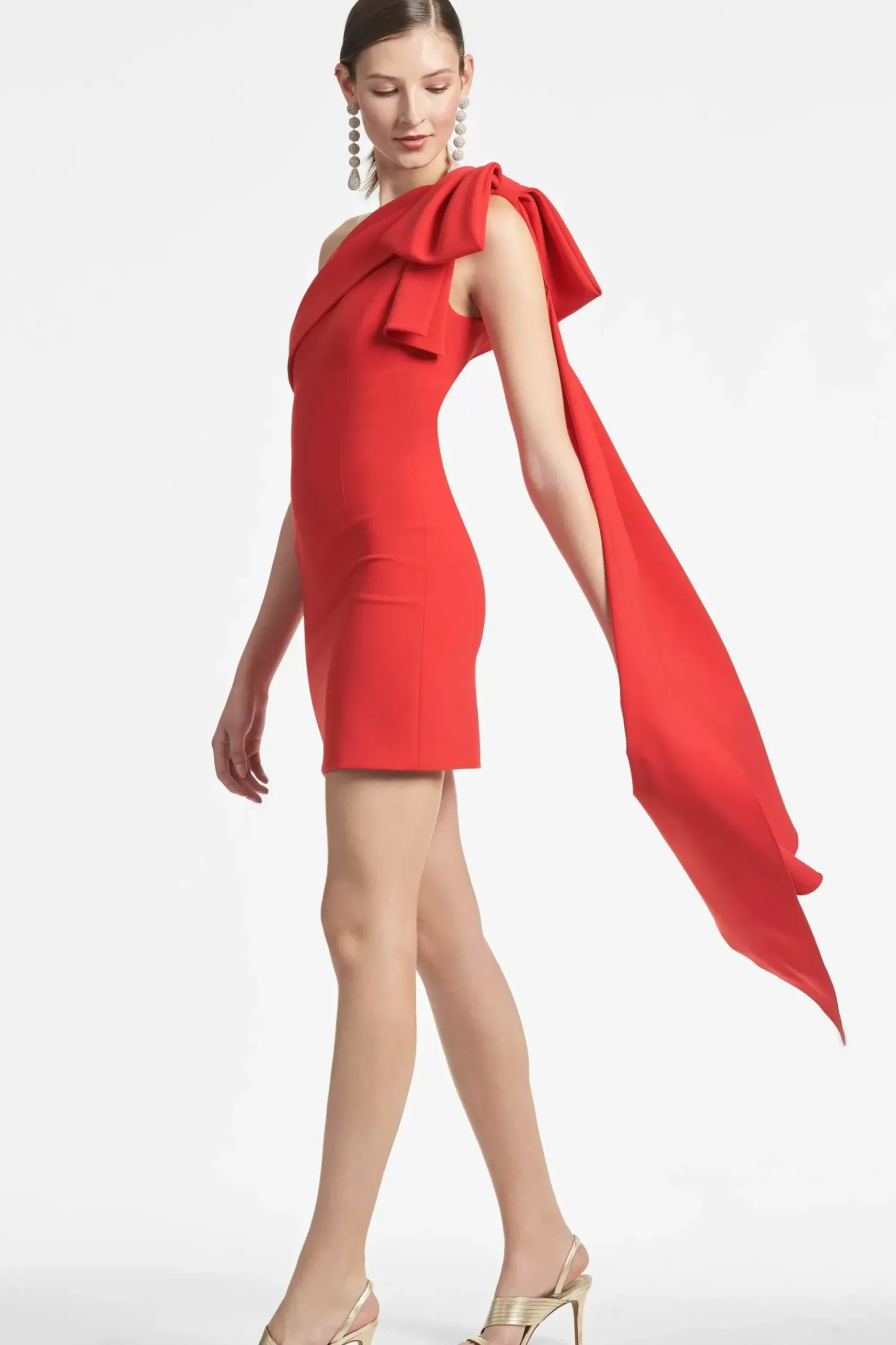 Bella Dress-Sachin & Babi Shop